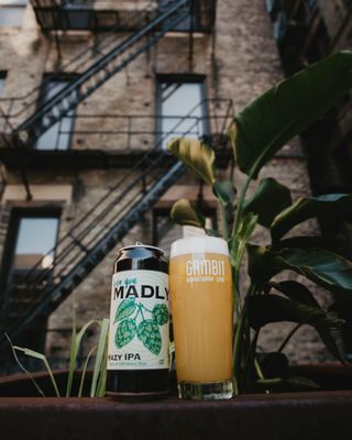 Gambit Brewing Co by null