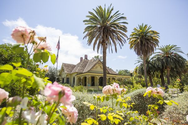 Arboretum and Botanical Garden at Cal State Fullerton by null