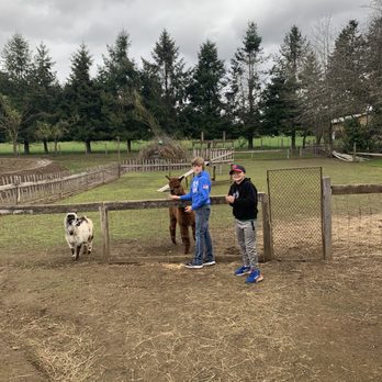 The Flower Farmer - Nutmeg and Sniket, getting goat granola from the boys. - Florists Near Me - Canby, Oregon