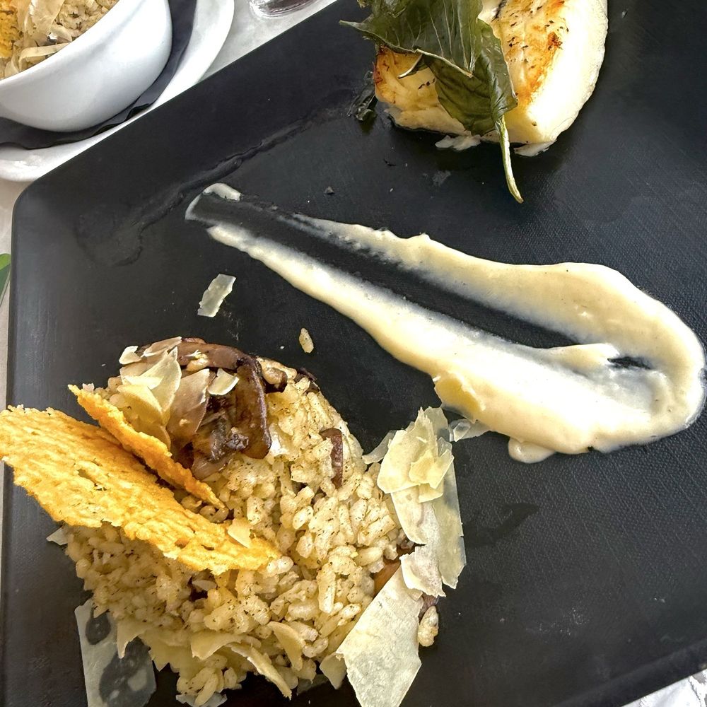 Cove Kitchen + Bar - Chilean sea bass - Salad Near Me - Clearwater Beach, Florida Cove Kitchen + Bar - Chilean sea bass - Salad Near Me - Clearwater Beach, Florida