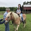 Rosebarb Farm Guest Cottage gift card
