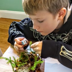 Wild Rose Montessori School