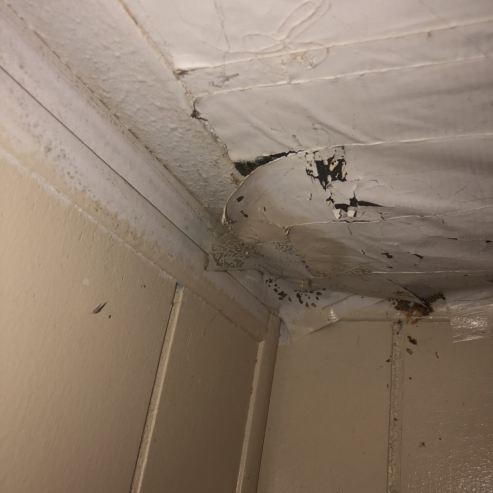 Aquia Realty - Roof leak bedroom number 2 - Property Management Near Me - Stafford, Virginia Aquia Realty - Roof leak bedroom number 2 - Property Management Near Me - Stafford, Virginia