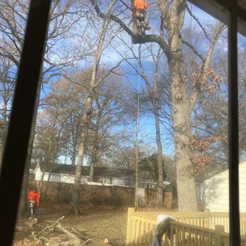 M&J Tree Service - Tree Services Near Me - Charlotte, North Carolina M&J Tree Service - Tree Services Near Me - Charlotte, North Carolina