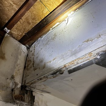 Visual Pro Home Inspections - Another picture of garage leak - Home Inspectors Near Me - Troy, Michigan Visual Pro Home Inspections - Another picture of garage leak - Home Inspectors Near Me - Troy, Michigan