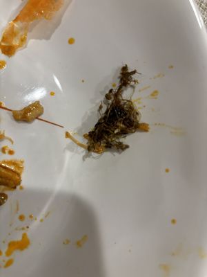 Shaking Crab (Newton) by null