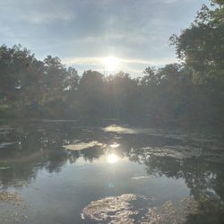 Magnolia Springs State Park