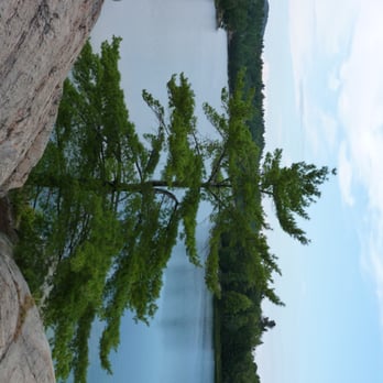 Killarney Provincial Park - Probably one of the most painted/photographed trees in Ontario (Please rotate the picture 90 degree to view) - Parks Near Me - Killarney, Ontario