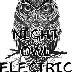 Night Owl Electric - Up All Night If You Need Us
