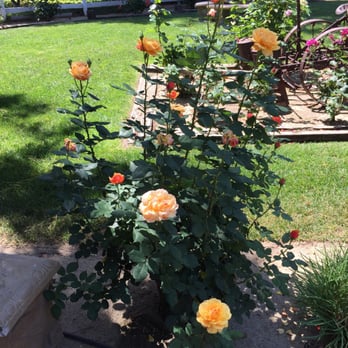 Briar Rose Winery - Wineries Near Me - Temecula, California