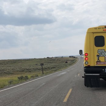 Hayden Valley - Landmarks & Historical Buildings Near Me - Yellowstone, Wyoming