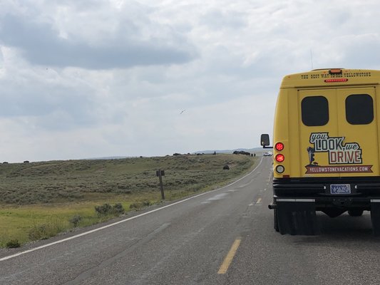 Hayden Valley by null