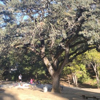 Bachman Park - Lots of trees - Parks Near Me - Los Gatos, California Bachman Park - Lots of trees - Parks Near Me - Los Gatos, California
