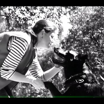 Barking Bonds - Pet Training Near Me