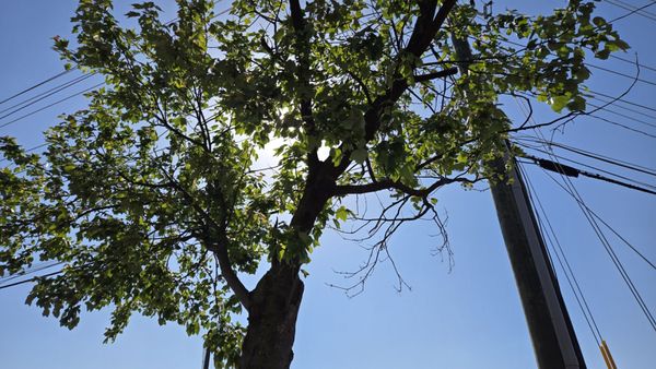 J’s Mini Hot Pot by null