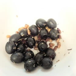 Le Nez dans l'Bocal - Inauguration : les olives noires étaient super bonnes !