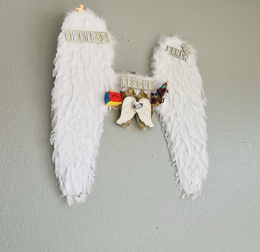 Wings Java Junkie Image