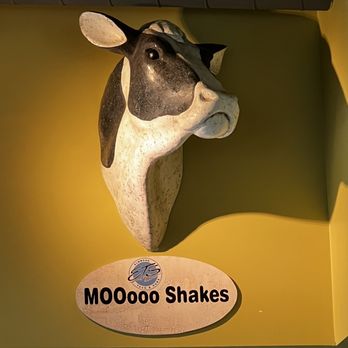 Elmwood Taco & Subs - a cow head mounted on a wall - Mexican Near Me - Buffalo, New York