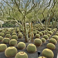 Sunnylands Center & Gardens