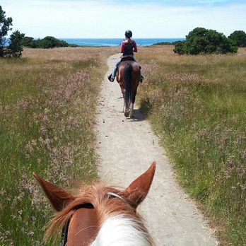 Ricochet Ridge Ranch - On the trail to the beach - Tours Near Me - Fort Bragg, California