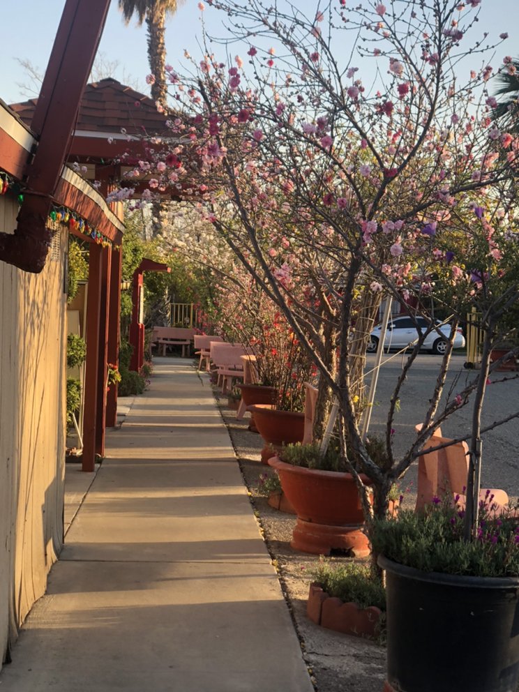 CHUA KHANH ANH Updated December 2024 7234 Glasgow Ave, San