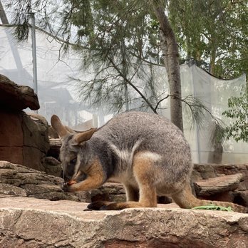 Sydney Wildlife World - Zoos Near Me - Darling Harbour, NSW