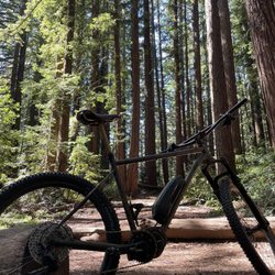 Tip Top Bike Shop - My Ebike and the trails I love