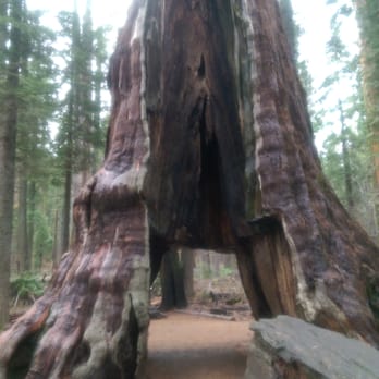 Calaveras Big Trees State Park - Parks Near Me - Arnold, California Calaveras Big Trees State Park - Parks Near Me - Arnold, California