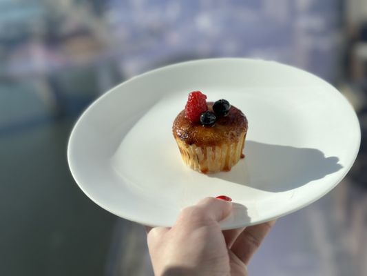 Molly's Cupcakes by null