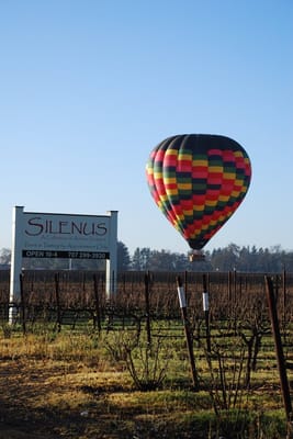 Silenus Winery by null