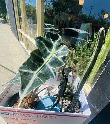 Public Land Store by null