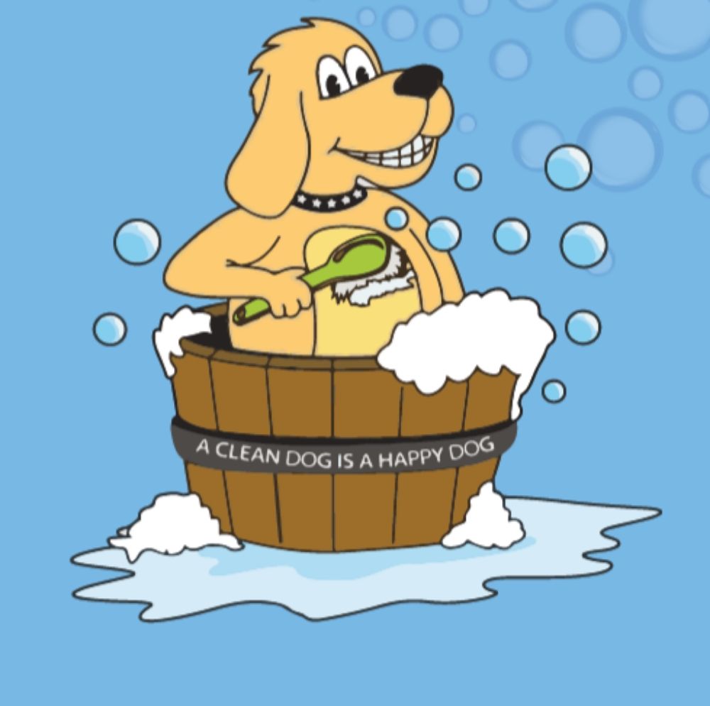 ANDY’S PET GROOMING EAGLE ROCK 405 Photos & 558 Reviews 1741