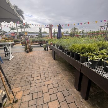 Flamingo Road Nursery - Nurseries & Gardening Near Me - Davie, Florida Flamingo Road Nursery - Nurseries & Gardening Near Me - Davie, Florida