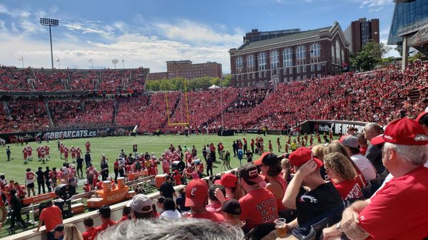 Nippert Stadium by null