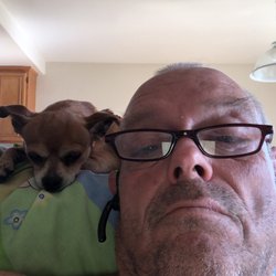 Perfect Pet Rescue - Mobile Adoptions - Bella and me she my lil bodyguard