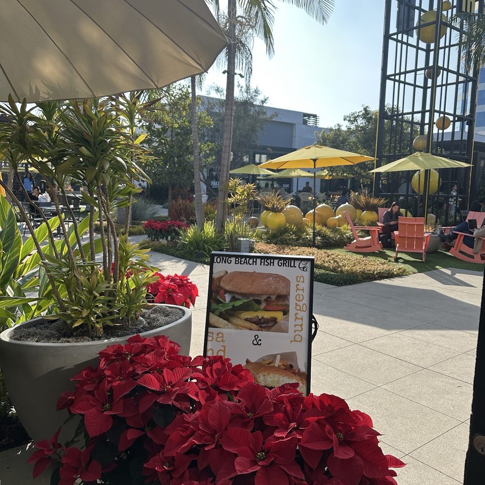 Long Beach Fish Grill - Patio view - Seafood Near Me - Torrance, California Long Beach Fish Grill - Patio view - Seafood Near Me - Torrance, California