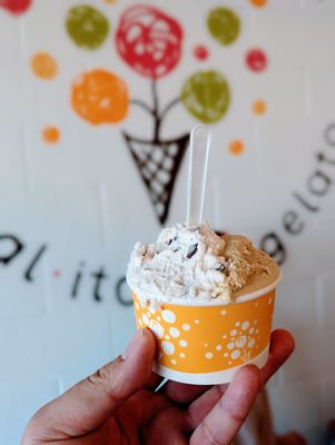 Dolce Neve Gelato by null