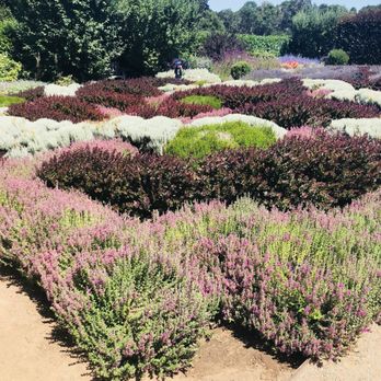 Filoli - Botanical Gardens Near Me - Woodside, California