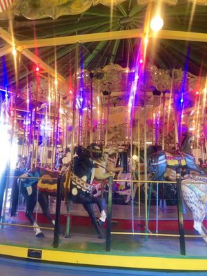 Balboa Park Carousel by null