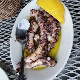 Grilled Octopus