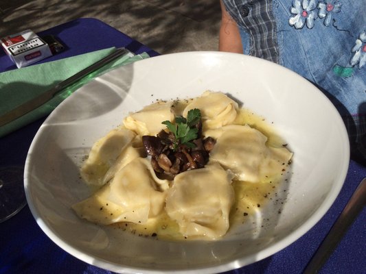 Terra di Vino by null