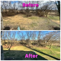 Zidik's Lawn Care & Landscaping - Cleanup of the backyard. Only part of the debris was to be removed as the rest is not our property.