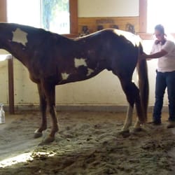 Robinson Horsemanship
