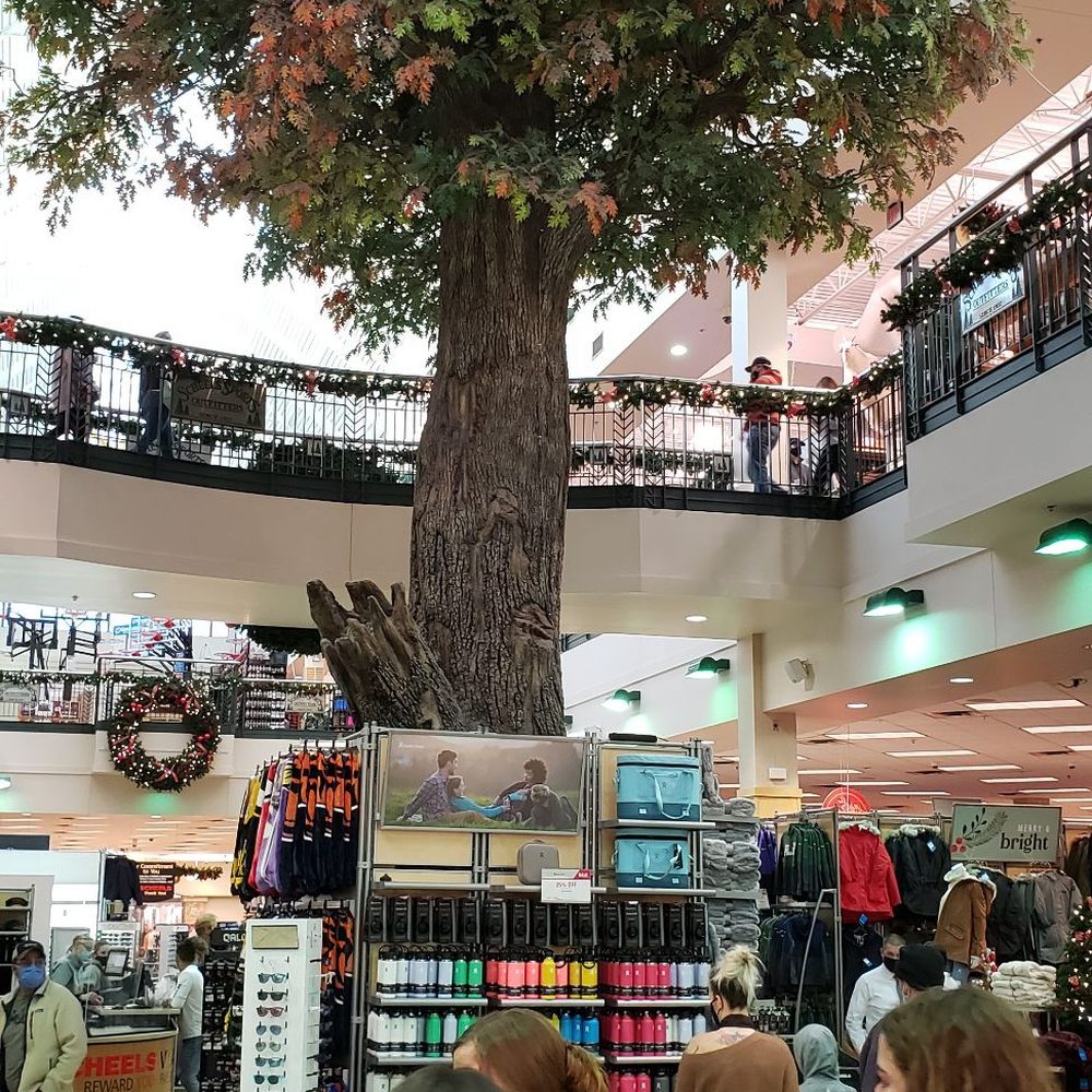 Scheels - Great big decore - Hunting & Fishing Supplies Near Me - West Des Moines, Iowa Scheels - Great big decore - Hunting & Fishing Supplies Near Me - West Des Moines, Iowa