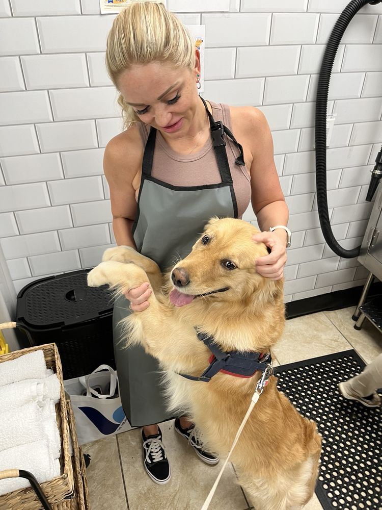 Pet Supermarket Image
