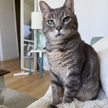 Fun Paw Care - James - Pet Training Near Me - Los Angeles, California Fun Paw Care - James - Pet Training Near Me - Los Angeles, California