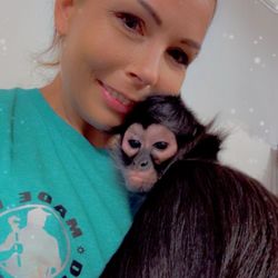 Swing Along Monkey Rescue