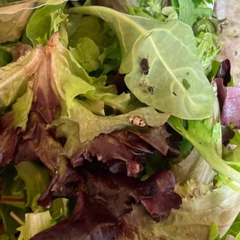 Costco Wholesale - Bugs found in the organic spring mix at Costco consumers always wash your vegetables, Not ready to ENJOY - Wholesale Stores Near Me - Oxnard, California