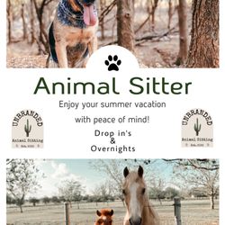 Unbranded Animal Sitting