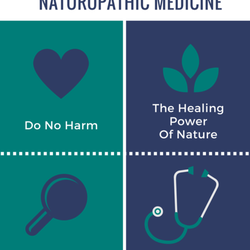 Inner Vector Naturopaths